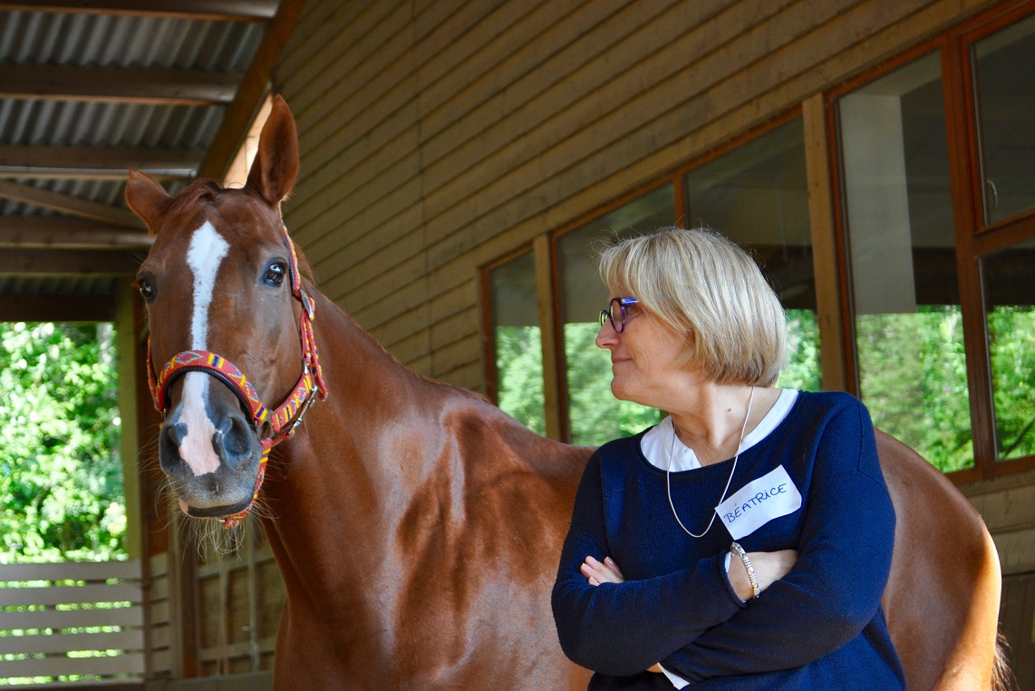 Démonstrations Accompagnement Assisté par le Cheval