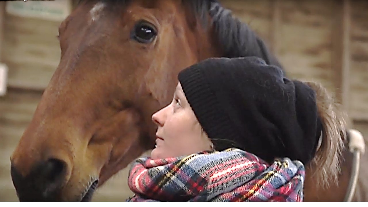 Démonstration Accompagnement managérial assisté par le cheval