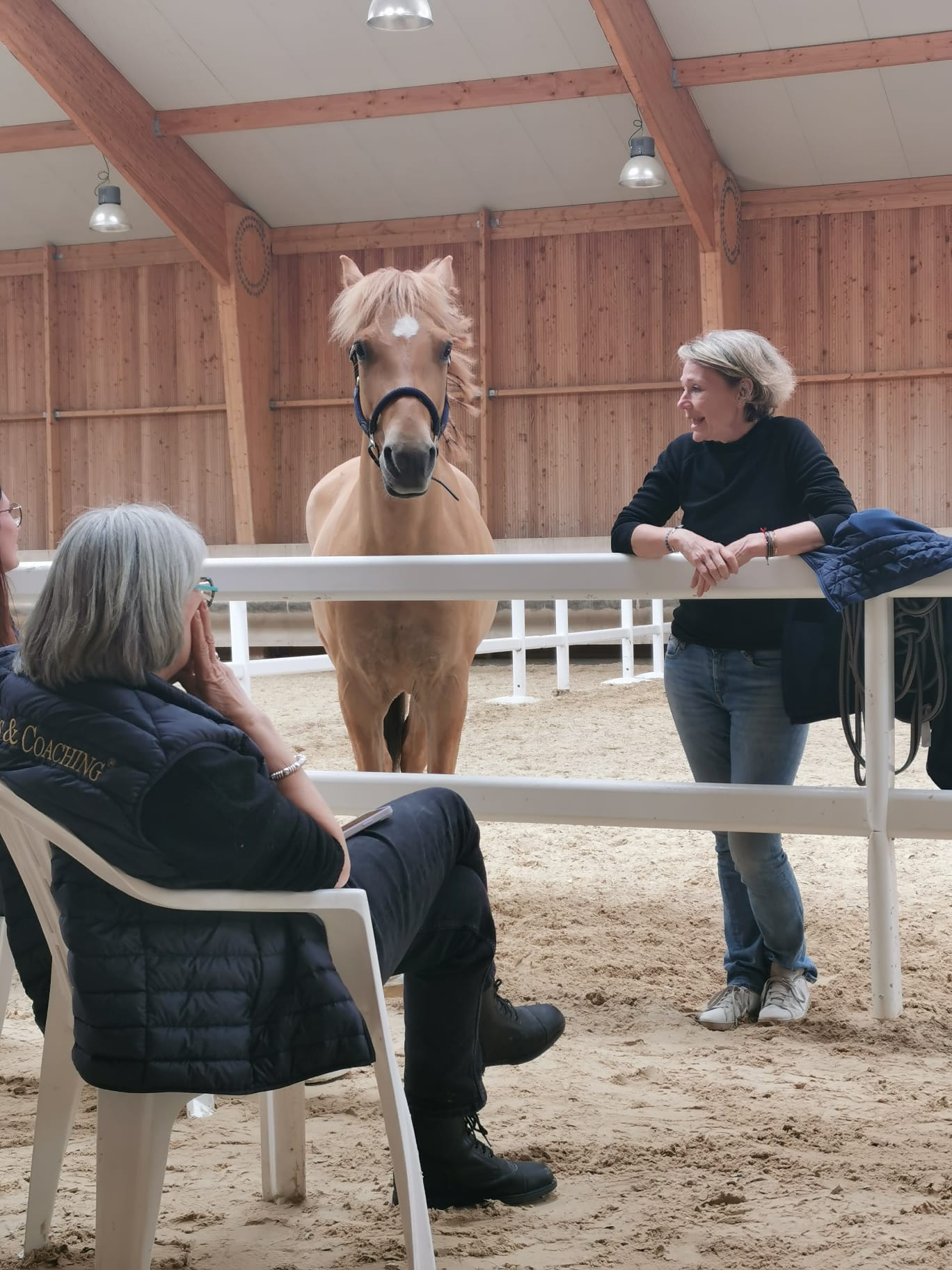 Prochaines sessions de formation d'Equi Coach