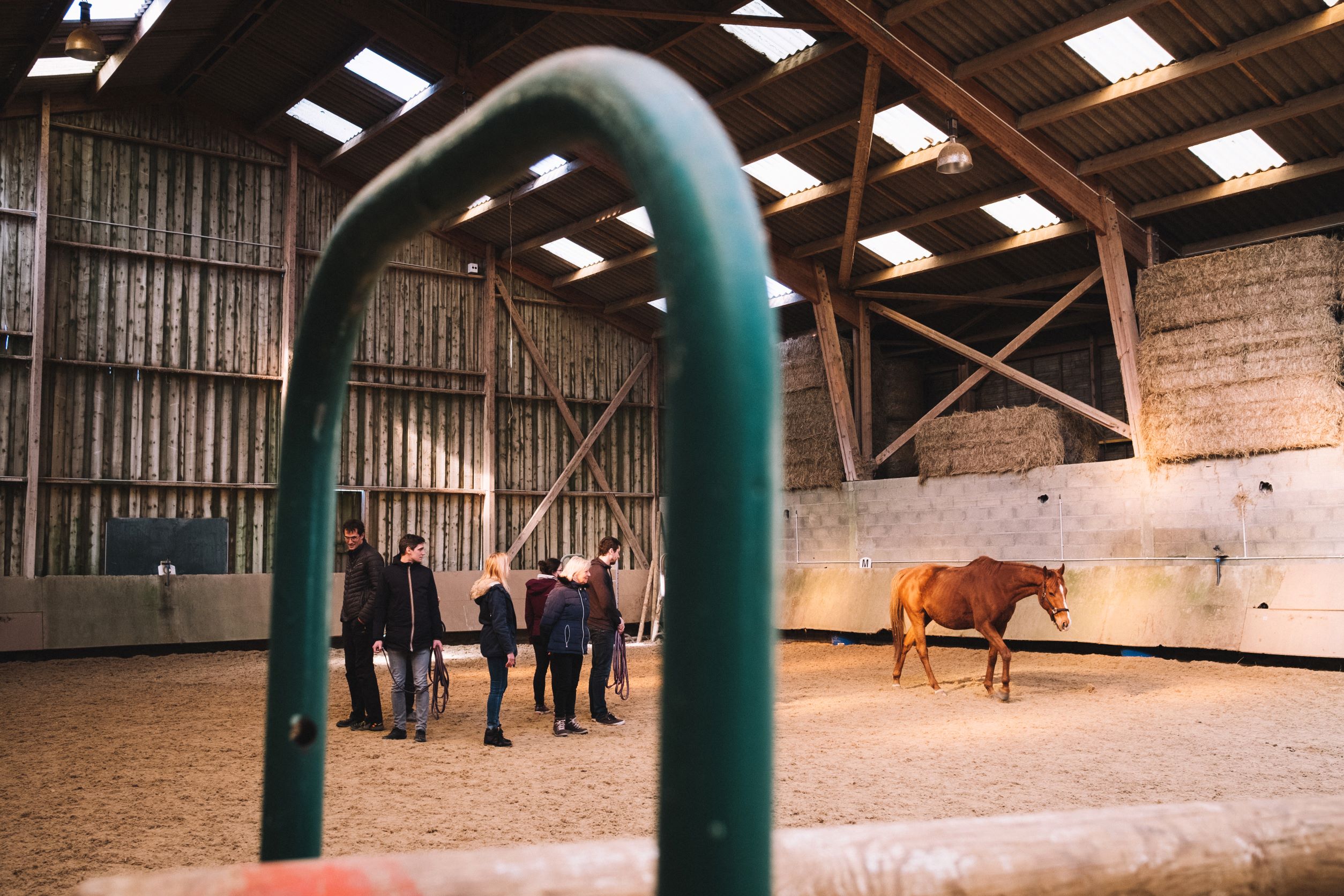 Equi-Coaching Collectif