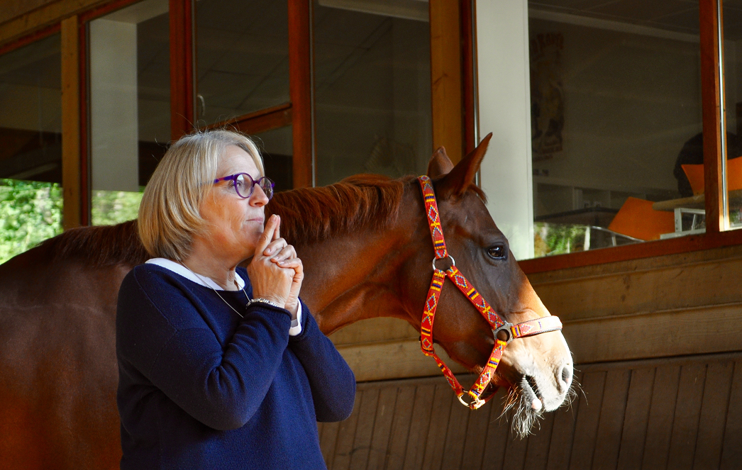 Prochains ateliers Horses & Coaching 2021