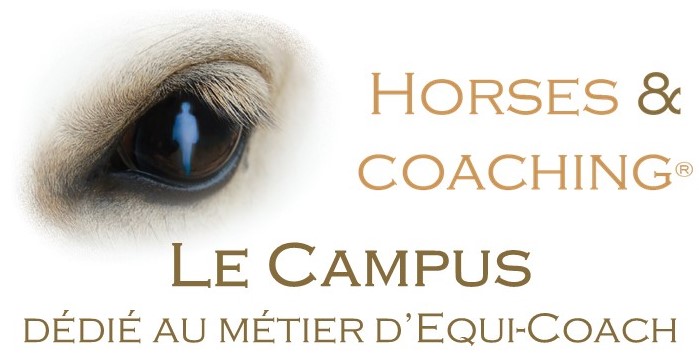 PROCHAINE FORMATION CAMPUS HORSES & COACHING