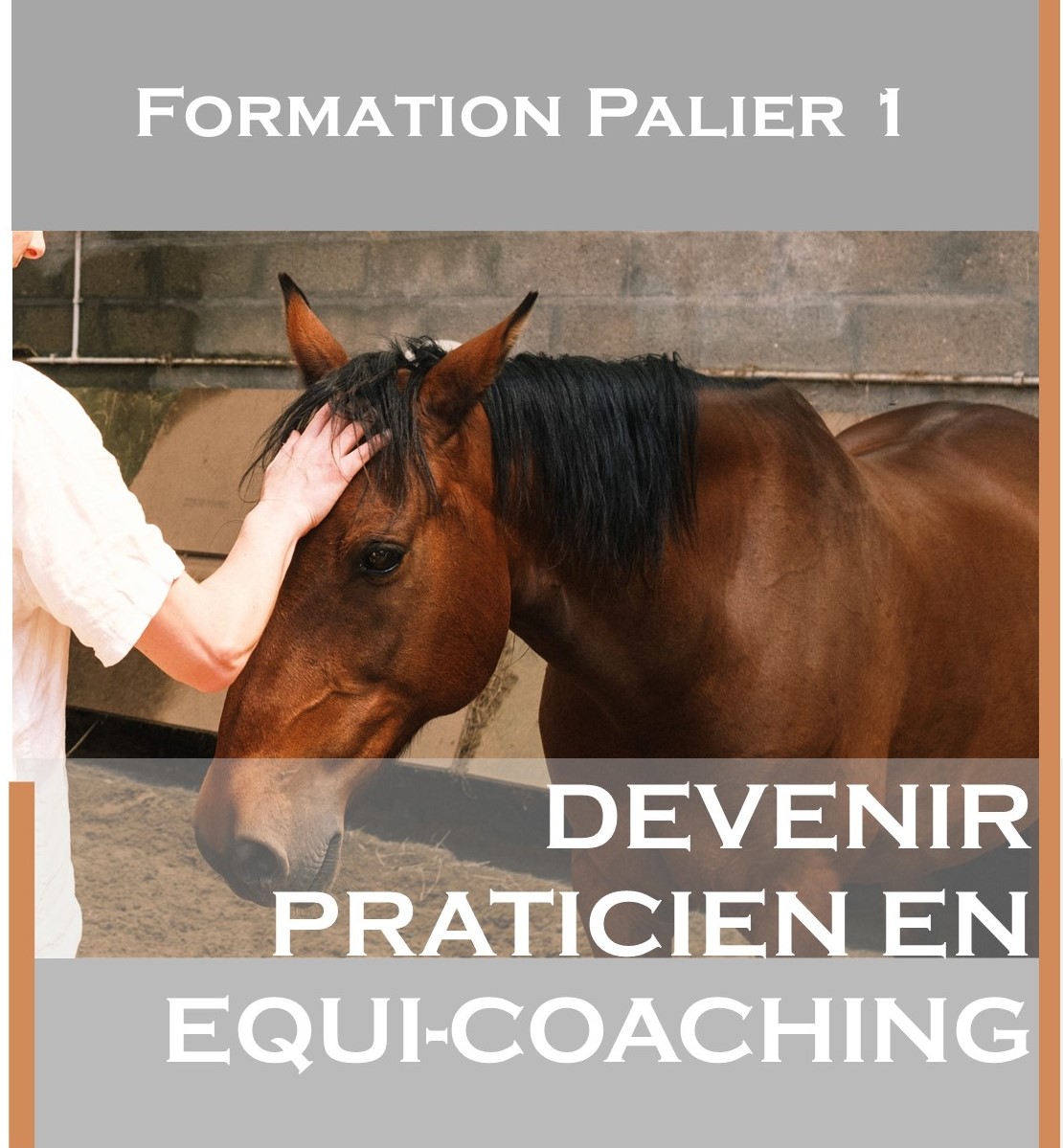 CAMPUS HORSES & COACHING